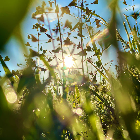 Cherry Creek - Fall/Winter 2021