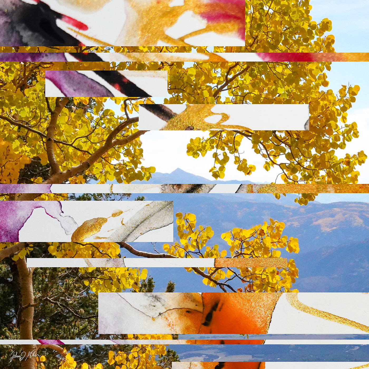 Aspen Ascent