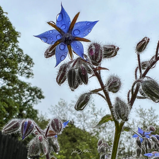 Wildflower - Fall/Winter 2023 Wearable Photos