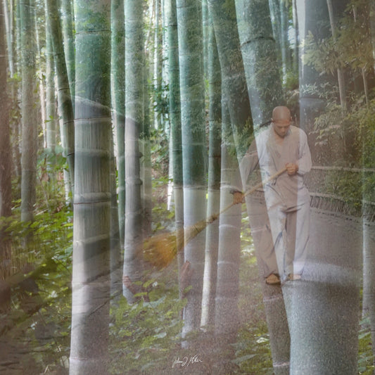 Morning in Arashiyama