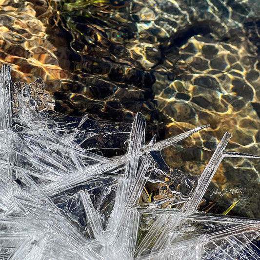 When Seasons Collide - Fall/Winter 2023 Wearable Photos