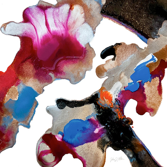 Freedom Practice - Fall/Winter 2024