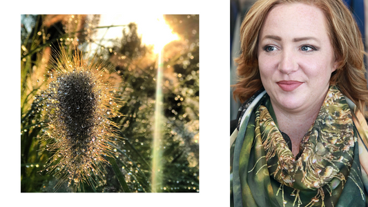 Pearls of Dew - Wearable Photo