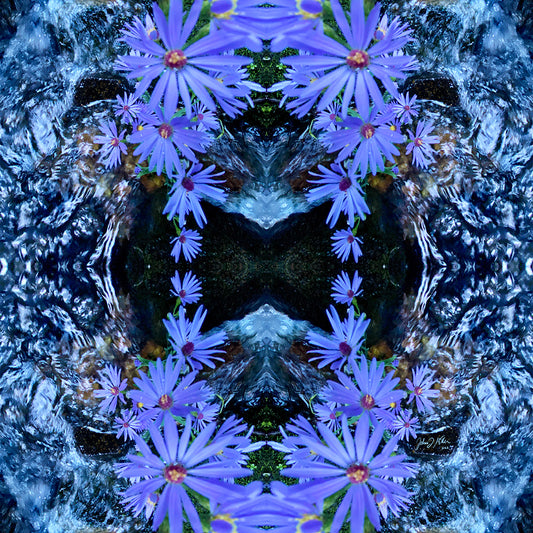 Creekside Petals - Spring/Summer 2022