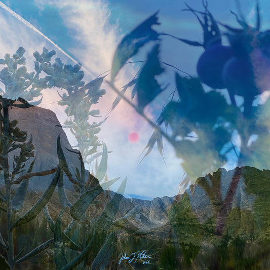 Estes/Golden - Fall/Winter 2022